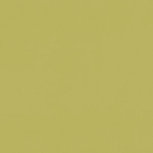 Renzo Citrus by Clarke And Clarke Fabric
