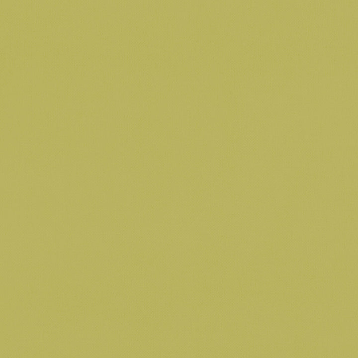 Renzo Citrus by Clarke And Clarke Fabric CLARKE & CLARKE RENZO POLYESTER - 100% China HEAVY Horizontal: 0 and Vertical: 0 55 - Fabric Carolina -