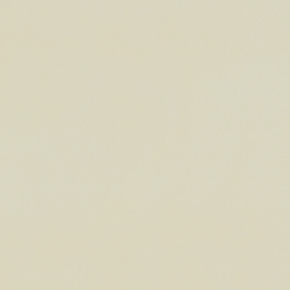 Renzo Cream by Clarke And Clarke Fabric CLARKE & CLARKE RENZO POLYESTER - 100% China HEAVY Horizontal: 0 and Vertical: 0 55 - Fabric Carolina -