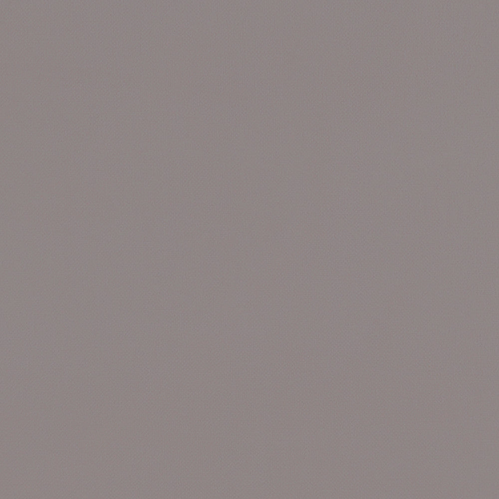 F1231 10 Renzo Feather by Clarke and Clarke Designer Fabric STUDIO G POLYESTER - 100% China HEAVY Horizontal: 0 and Vertical: 0 55 - Swanky Fabrics -