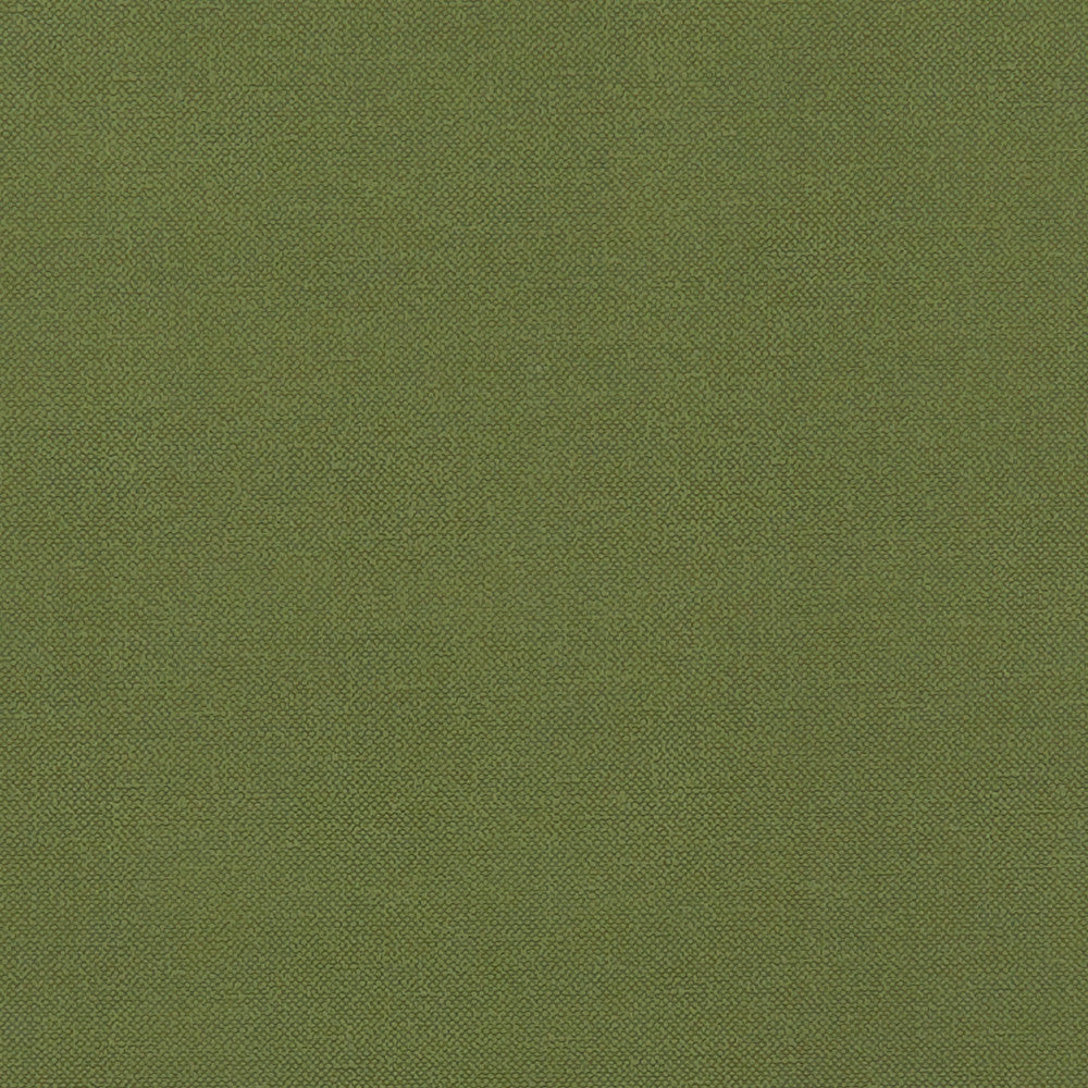F1231 11 Renzo Forest by Clarke and Clarke Fabric STUDIO G POLYESTER - 100% China HEAVY Horizontal: 0 and Vertical: 0 55  - Fabric Carolina -