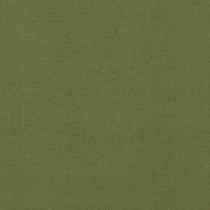 F1231 11 Renzo Forest by Clarke and Clarke Fabric STUDIO G POLYESTER - 100% China HEAVY Horizontal: 0 and Vertical: 0 55  - Fabric Carolina -