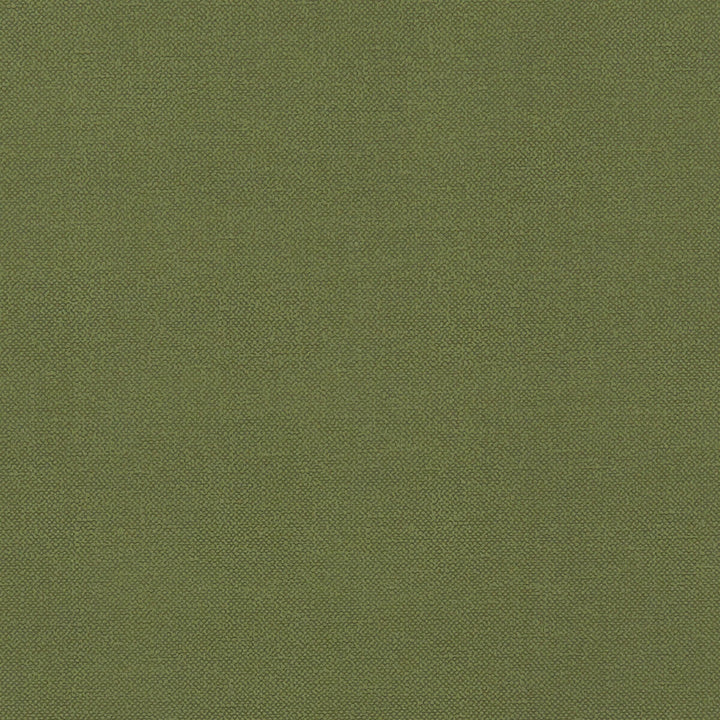 Renzo Forest by Clarke And Clarke Designer Fabric CLARKE & CLARKE RENZO POLYESTER - 100% China HEAVY Horizontal: 0 and Vertical: 0 55 - Swanky Fabrics -