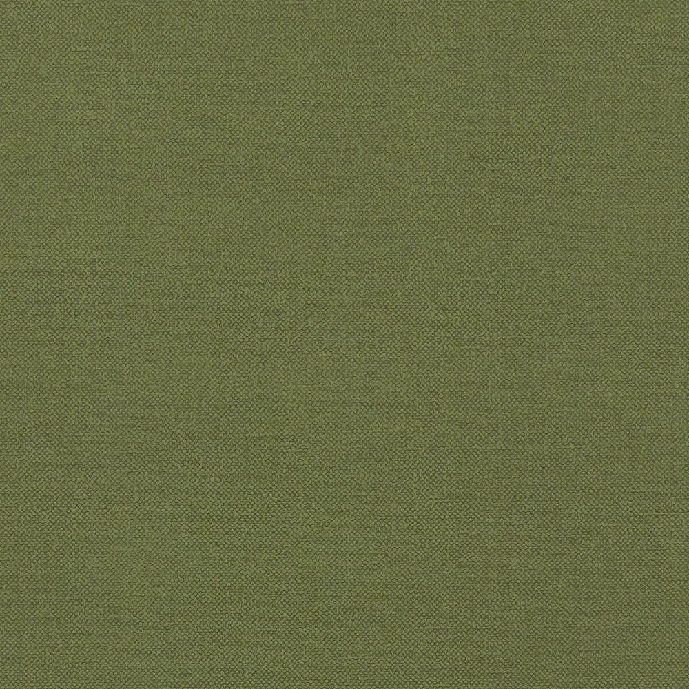 Renzo Forest by Clarke And Clarke Fabric CLARKE & CLARKE RENZO POLYESTER - 100% China HEAVY Horizontal: 0 and Vertical: 0 55 - Fabric Carolina -
