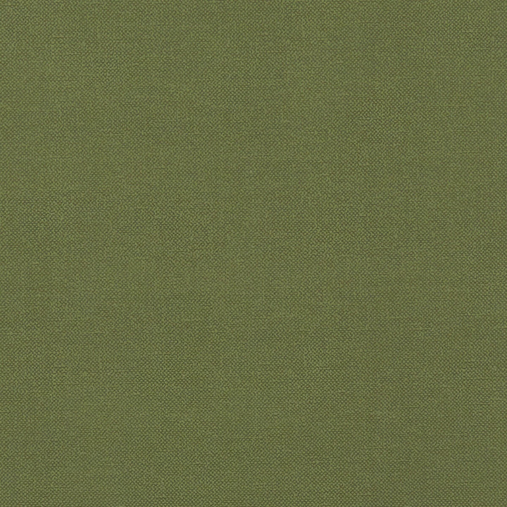 Renzo Forest by Clarke And Clarke Fabric CLARKE & CLARKE RENZO POLYESTER - 100% China HEAVY Horizontal: 0 and Vertical: 0 55 - Fabric Carolina -