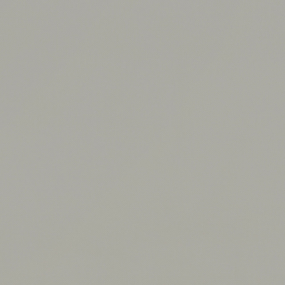 F1231 13 Renzo Linen by Clarke and Clarke Fabric STUDIO G POLYESTER - 100% China HEAVY Horizontal: 0 and Vertical: 0 55  - Fabric Carolina -