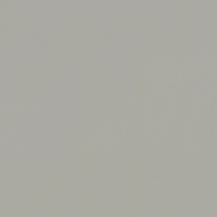 F1231 13 Renzo Linen by Clarke and Clarke Fabric STUDIO G POLYESTER - 100% China HEAVY Horizontal: 0 and Vertical: 0 55  - Fabric Carolina -