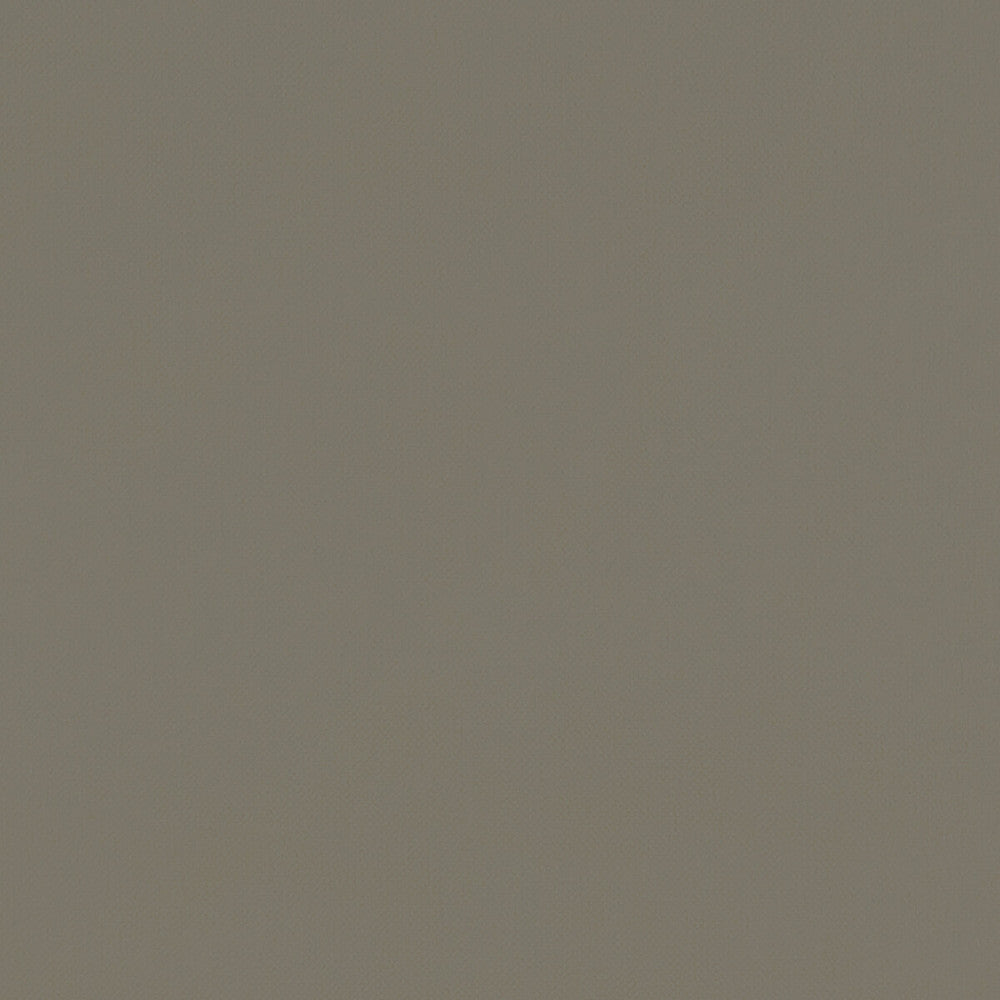 Renzo Mocha by Clarke And Clarke Fabric CLARKE & CLARKE RENZO POLYESTER - 100% China HEAVY Horizontal: 0 and Vertical: 0 55 - Fabric Carolina -