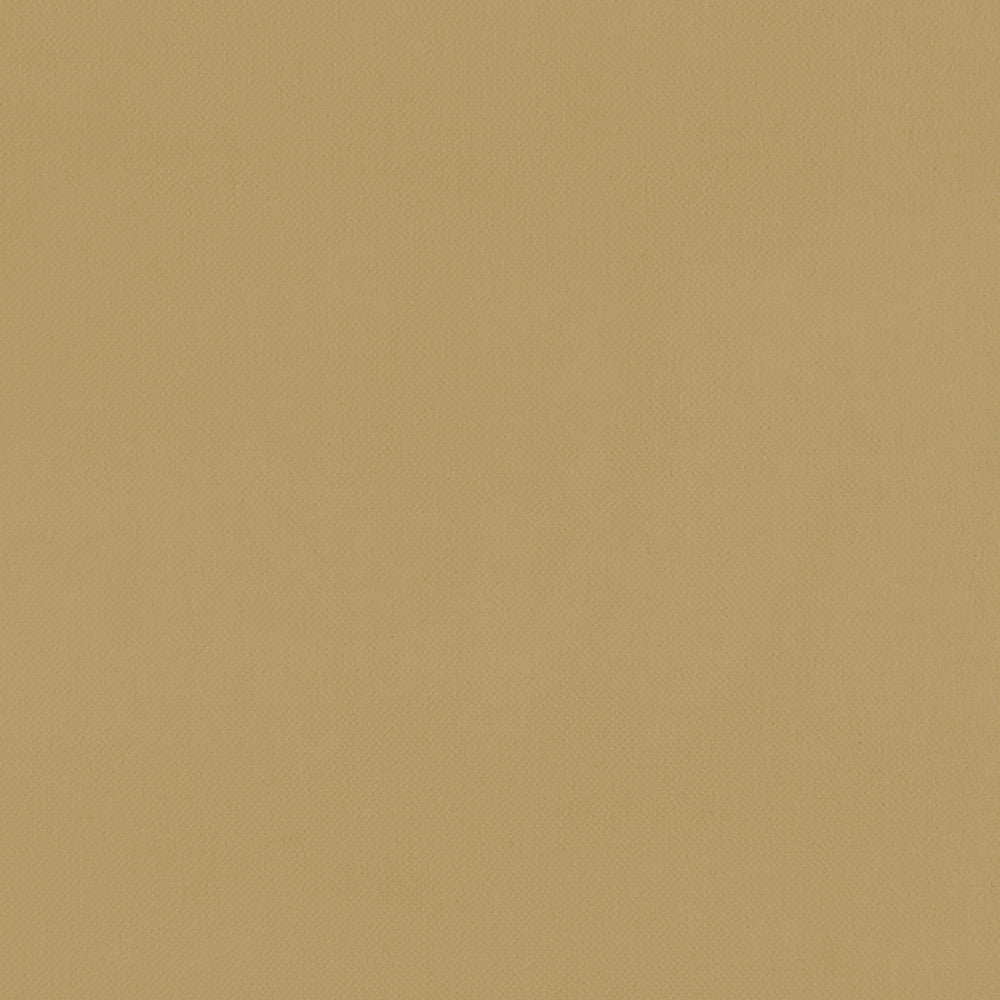F1231 18 Renzo Ochre by Clarke and Clarke Fabric STUDIO G POLYESTER - 100% China HEAVY Horizontal: 0 and Vertical: 0 55  - Fabric Carolina -