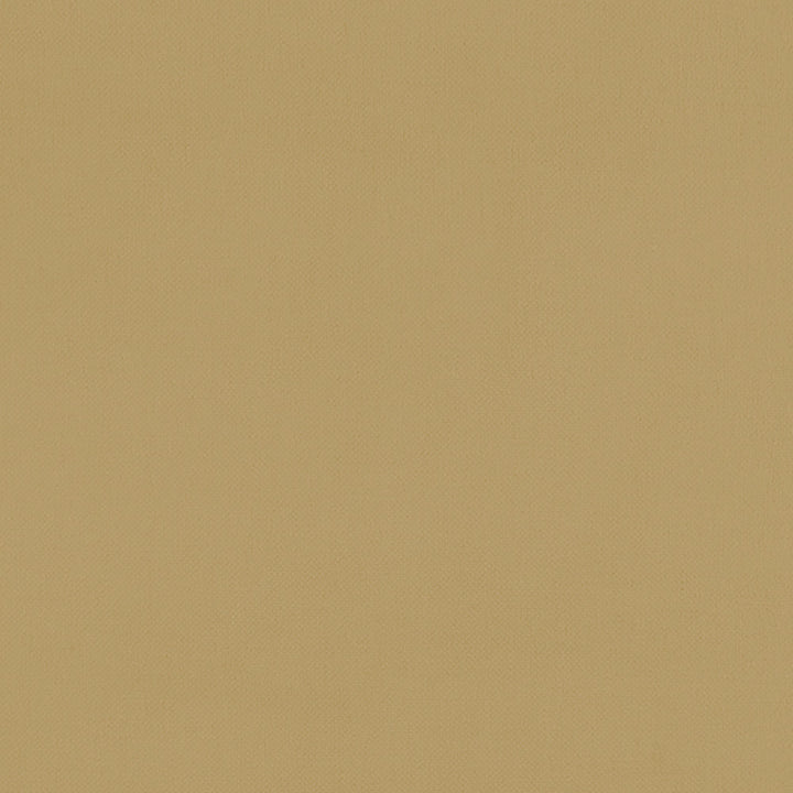 F1231 18 Renzo Ochre by Clarke and Clarke Fabric STUDIO G POLYESTER - 100% China HEAVY Horizontal: 0 and Vertical: 0 55  - Fabric Carolina -