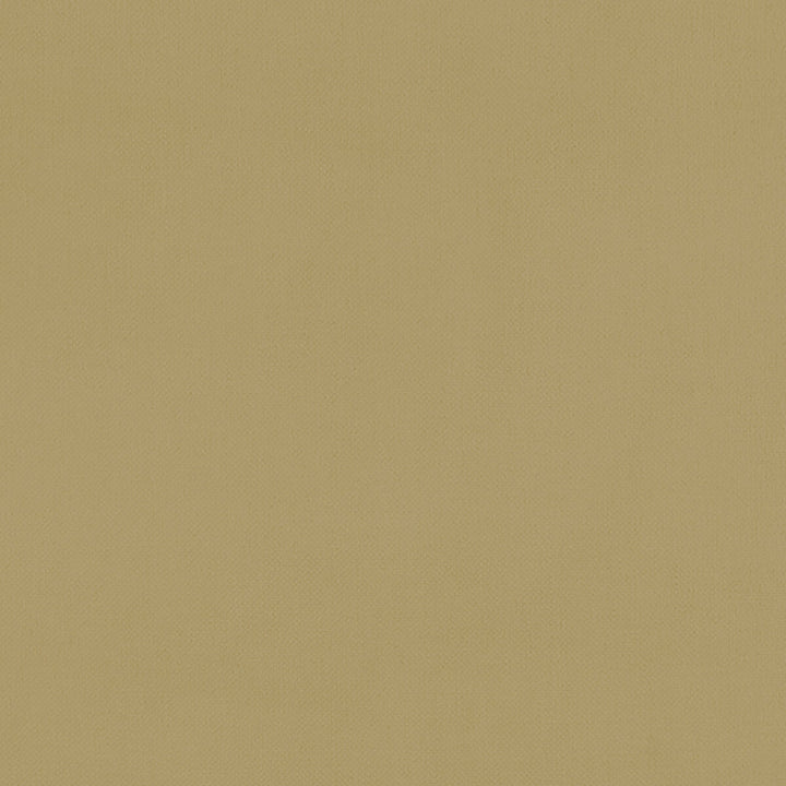 Renzo Ochre by Clarke And Clarke Fabric CLARKE & CLARKE RENZO POLYESTER - 100% China HEAVY Horizontal: 0 and Vertical: 0 55 - Fabric Carolina -