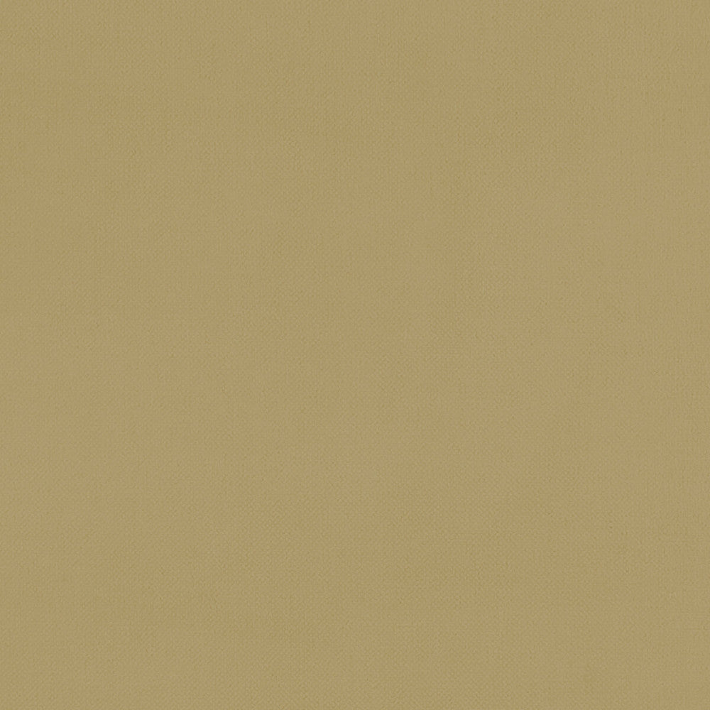 Renzo Ochre by Clarke And Clarke Fabric CLARKE & CLARKE RENZO POLYESTER - 100% China HEAVY Horizontal: 0 and Vertical: 0 55 - Fabric Carolina -