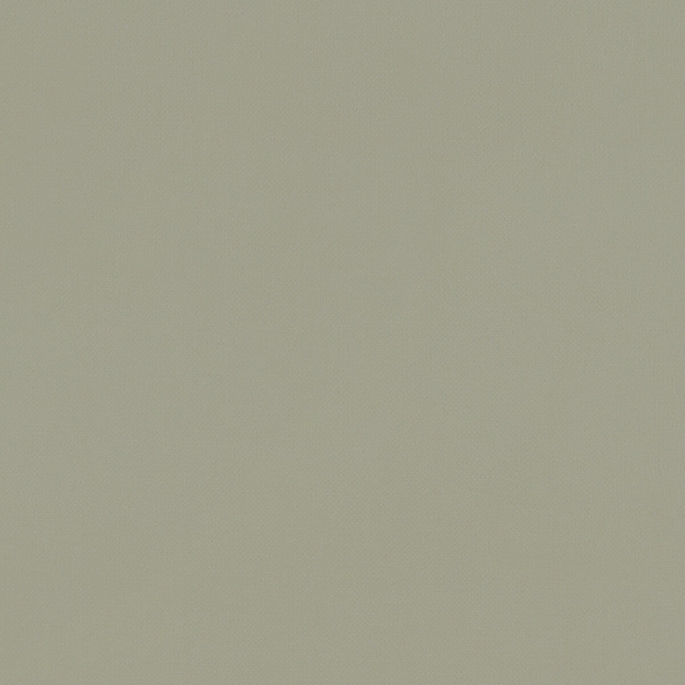 Renzo Sage by Clarke And Clarke Designer Fabric CLARKE & CLARKE RENZO POLYESTER - 100% China HEAVY Horizontal: 0 and Vertical: 0 55 - Swanky Fabrics -