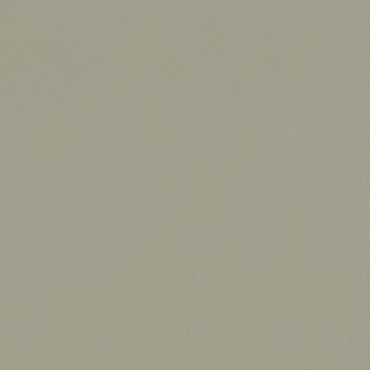 Renzo Sage by Clarke And Clarke Designer Fabric CLARKE & CLARKE RENZO POLYESTER - 100% China HEAVY Horizontal: 0 and Vertical: 0 55 - Swanky Fabrics -