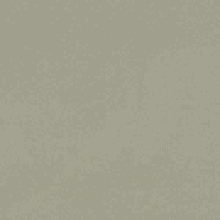 F1231 22 Renzo Sage by Clarke and Clarke Fabric STUDIO G POLYESTER - 100% China HEAVY Horizontal: 0 and Vertical: 0 55  - Fabric Carolina -