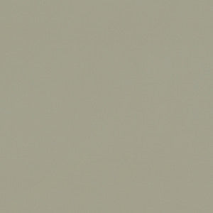 Renzo Sage by Clarke And Clarke Fabric