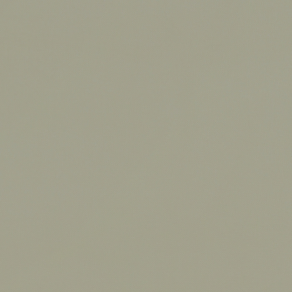 F1231 22 Renzo Sage by Clarke and Clarke Designer Fabric STUDIO G POLYESTER - 100% China HEAVY Horizontal: 0 and Vertical: 0 55 - Swanky Fabrics -