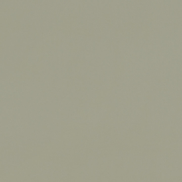 Renzo Sage by Clarke And Clarke Fabric CLARKE & CLARKE RENZO POLYESTER - 100% China HEAVY Horizontal: 0 and Vertical: 0 55 - Fabric Carolina -