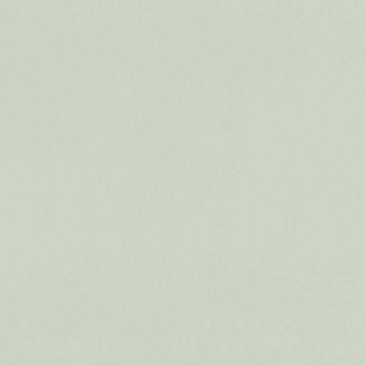 F1231 23 Renzo Silver by Clarke and Clarke Fabric STUDIO G POLYESTER - 100% China HEAVY Horizontal: 0 and Vertical: 0 55  - Fabric Carolina -