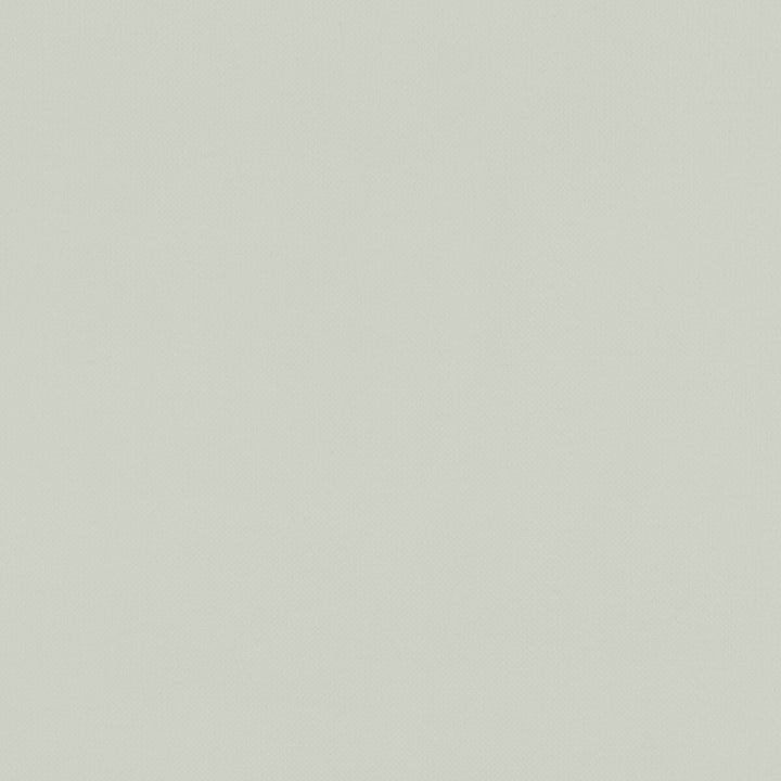 Renzo Silver by Clarke And Clarke Fabric CLARKE & CLARKE RENZO POLYESTER - 100% China HEAVY Horizontal: 0 and Vertical: 0 55 - Fabric Carolina -