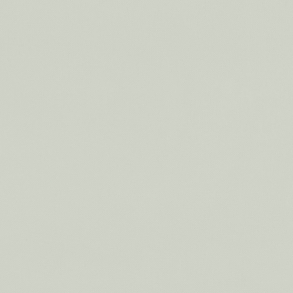F1231 23 Renzo Silver by Clarke and Clarke Designer Fabric STUDIO G POLYESTER - 100% China HEAVY Horizontal: 0 and Vertical: 0 55 - Swanky Fabrics -