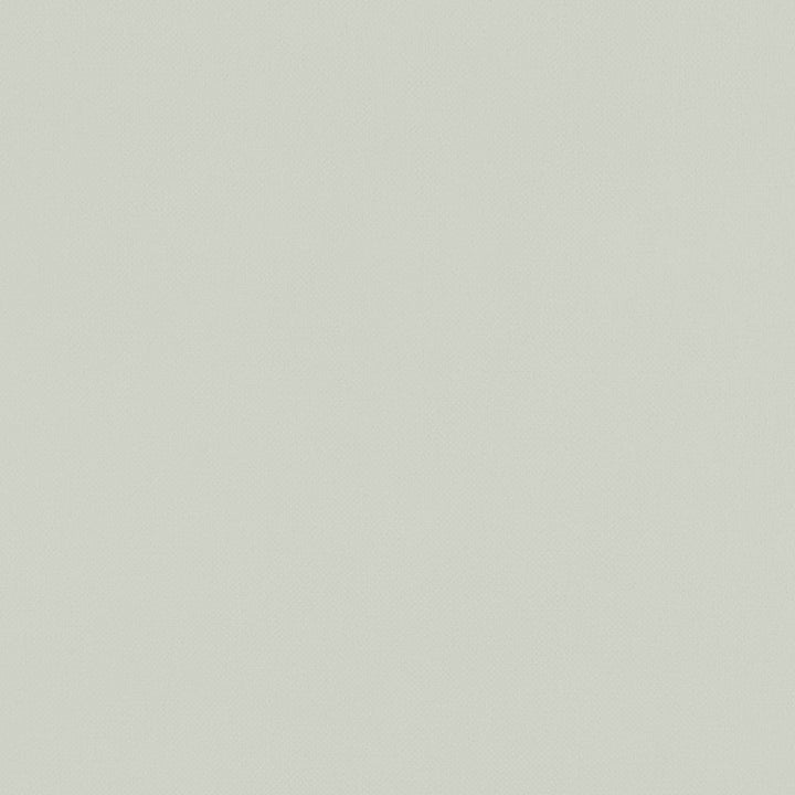 F1231 23 Renzo Silver by Clarke and Clarke Designer Fabric STUDIO G POLYESTER - 100% China HEAVY Horizontal: 0 and Vertical: 0 55 - Swanky Fabrics -