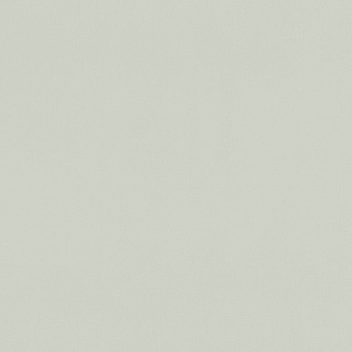 Renzo Silver by Clarke And Clarke Designer Fabric CLARKE & CLARKE RENZO POLYESTER - 100% China HEAVY Horizontal: 0 and Vertical: 0 55 - Swanky Fabrics -