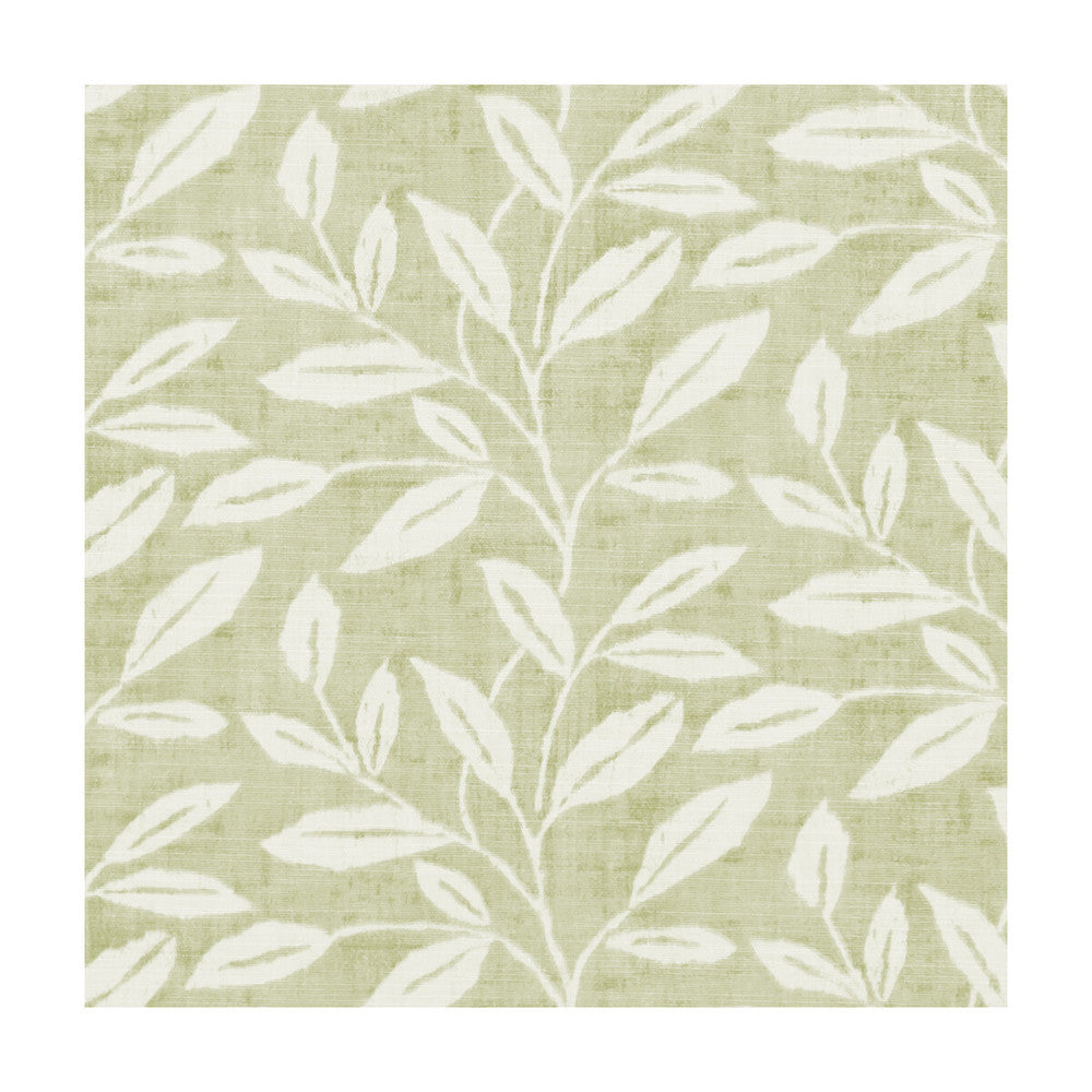 Terrace Trail Sage by Clarke And Clarke Fabric CLARKE & CLARKE ROOF GARDEN COTTON - 100% Turkey MEDIUM Horizontal: 13.58 and Vertical: 6.3 54 - Fabric Carolina -