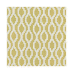 Hadley Citrus by Clarke And Clarke Fabric