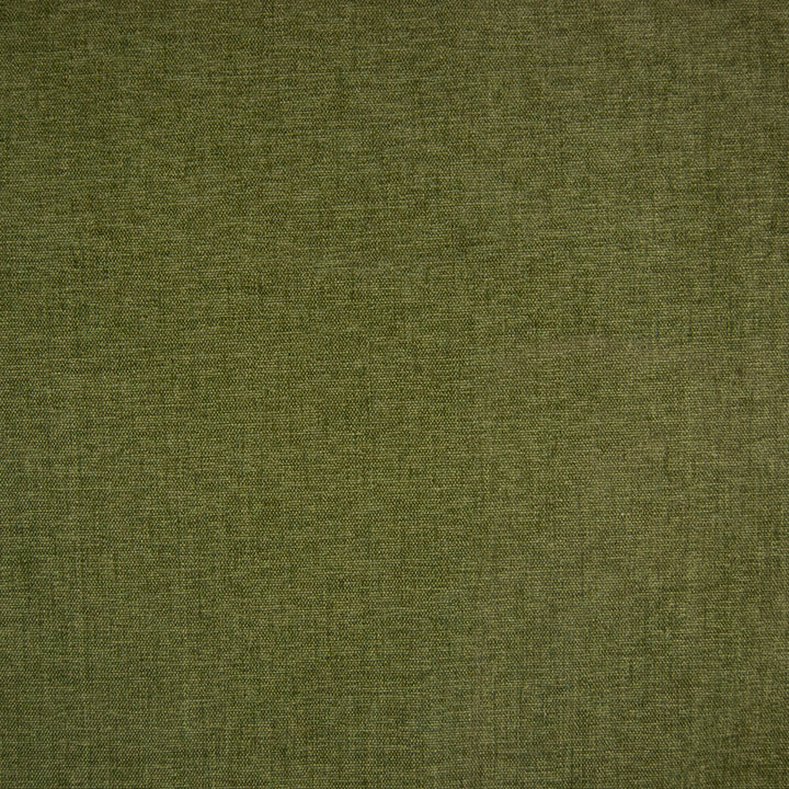 F1238 Kale by Greenhouse Fabric 100% Polyester India 102,000 double rubs </p><p>Repeat: None 54" - Fabric Carolina -