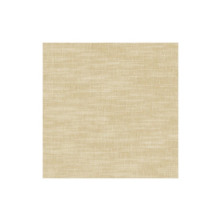 Amalfi Alabaster by Clarke And Clarke Fabric CLARKE & CLARKE AMALFI COTTON - 77%;POLYESTER - 23% India HEAVY Horizontal: 0 and Vertical: 0 54 - Fabric Carolina -