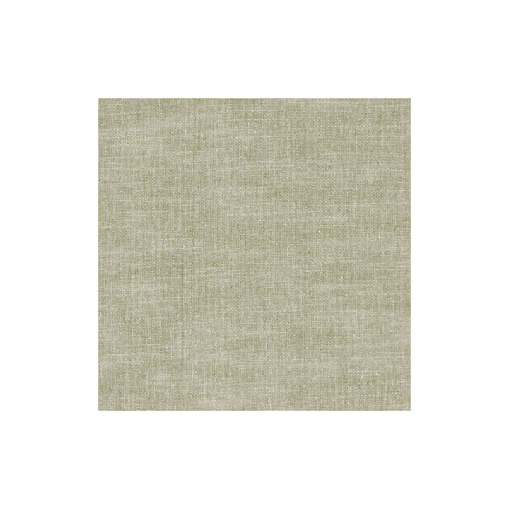 Amalfi Birch by Clarke And Clarke Fabric CLARKE & CLARKE AMALFI COTTON - 77%;POLYESTER - 23% India HEAVY Horizontal: 0 and Vertical: 0 54 - Fabric Carolina -