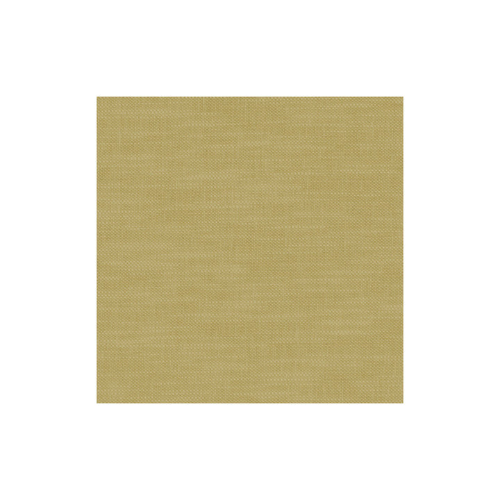 Amalfi Buttercup by Clarke And Clarke Fabric CLARKE & CLARKE AMALFI COTTON - 77%;POLYESTER - 23% India HEAVY Horizontal: 0 and Vertical: 0 54 - Fabric Carolina -