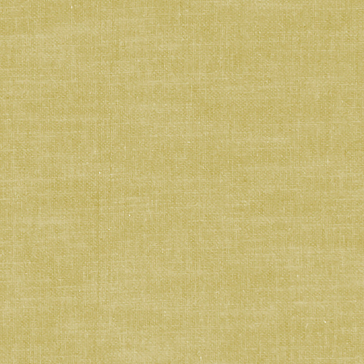 F1239 10 Amalfi Chartreuse by Clarke and Clarke Fabric CLARKE & CLARKE COTTON - 77%;POLYESTER - 23% India HEAVY Horizontal: 0 and Vertical: 0 54  - Fabric Carolina -