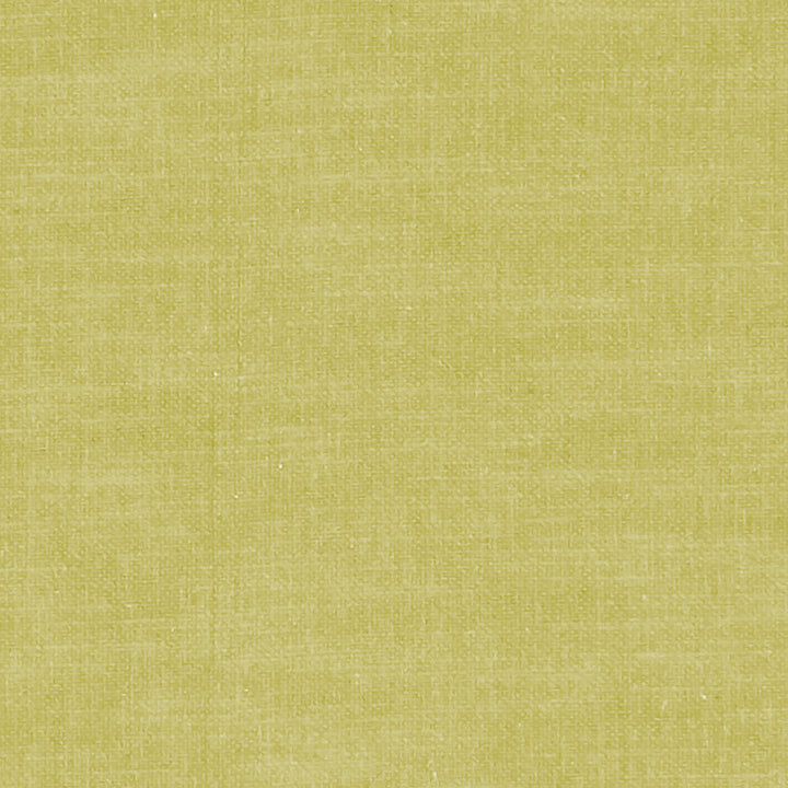 F1239 11 Amalfi Citron by Clarke and Clarke Fabric CLARKE & CLARKE COTTON - 77%;POLYESTER - 23% India HEAVY Horizontal: 0 and Vertical: 0 54  - Fabric Carolina -