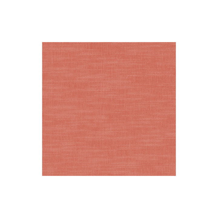 Amalfi Coral by Clarke And Clarke Fabric CLARKE & CLARKE AMALFI COTTON - 77%;POLYESTER - 23% India HEAVY Horizontal: 0 and Vertical: 0 54 - Fabric Carolina -