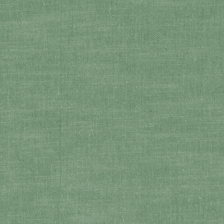 F1239 22 Amalfi Emerald by Clarke and Clarke Fabric CLARKE & CLARKE COTTON - 77%;POLYESTER - 23% India HEAVY Horizontal: 0 and Vertical: 0 54  - Fabric Carolina -