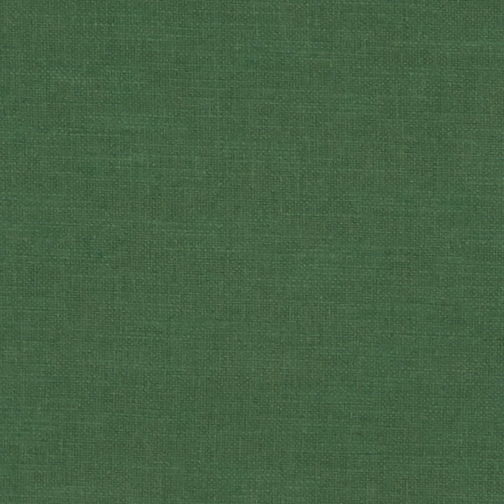 F1239 25 Amalfi Forest by Clarke and Clarke Fabric CLARKE & CLARKE COTTON - 77%;POLYESTER - 23% India HEAVY Horizontal: 0 and Vertical: 0 54  - Fabric Carolina -