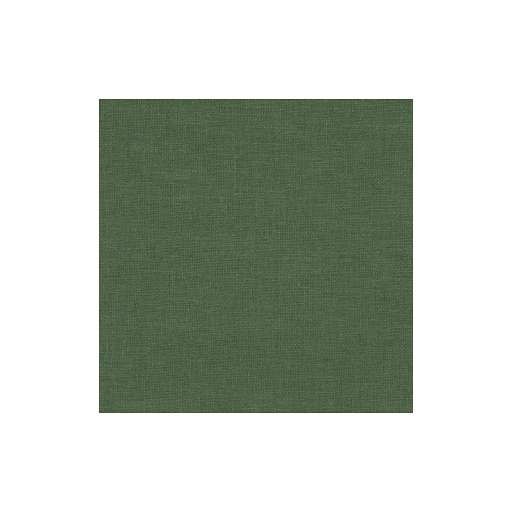 Amalfi Forest by Clarke And Clarke Fabric CLARKE & CLARKE AMALFI COTTON - 77%;POLYESTER - 23% India HEAVY Horizontal: 0 and Vertical: 0 54 - Fabric Carolina -
