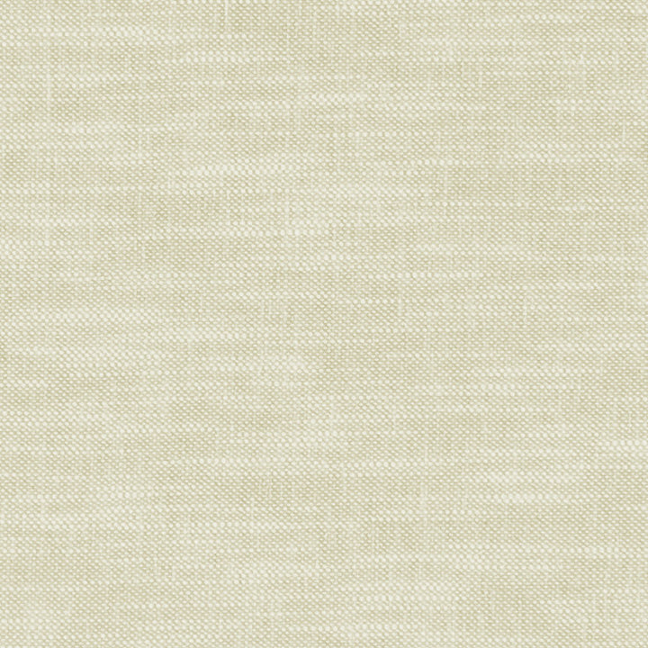 F1239 26 Amalfi Ghost by Clarke and Clarke Fabric CLARKE & CLARKE COTTON - 77%;POLYESTER - 23% India HEAVY Horizontal: 0 and Vertical: 0 54  - Fabric Carolina -
