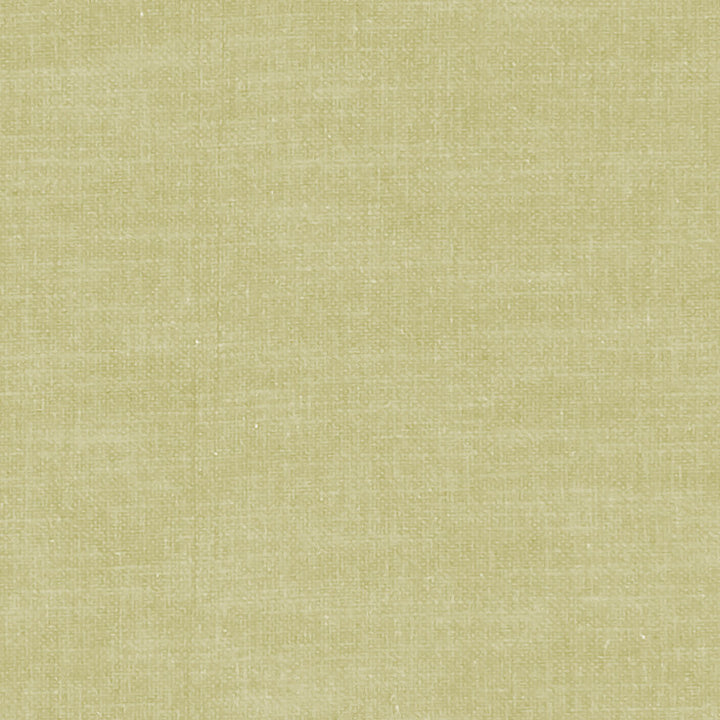 F1239 29 Amalfi Hemp by Clarke and Clarke Fabric CLARKE & CLARKE COTTON - 77%;POLYESTER - 23% India HEAVY Horizontal: 0 and Vertical: 0 54  - Fabric Carolina -