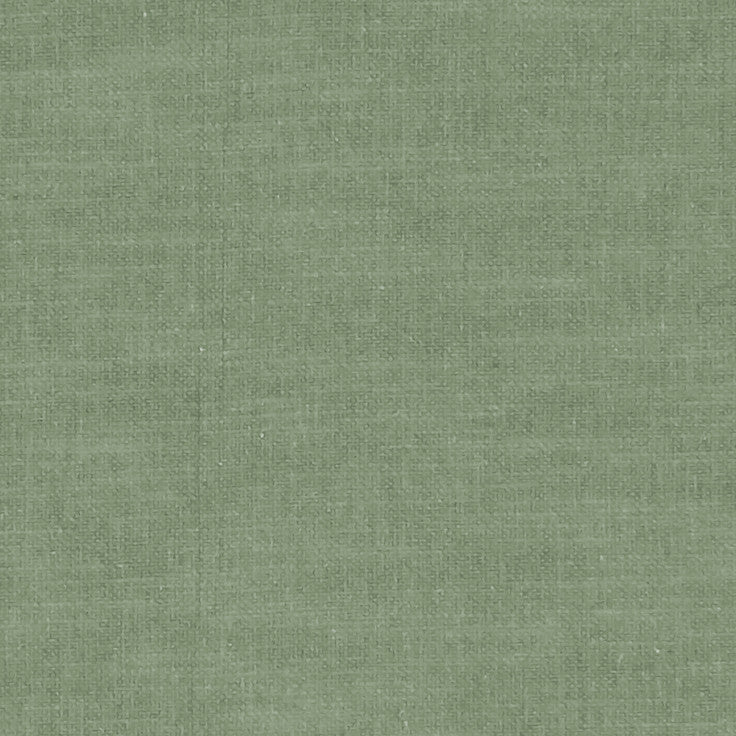 F1239 30 Amalfi Herb by Clarke and Clarke Fabric CLARKE & CLARKE COTTON - 77%;POLYESTER - 23% India HEAVY Horizontal: 0 and Vertical: 0 54  - Fabric Carolina -