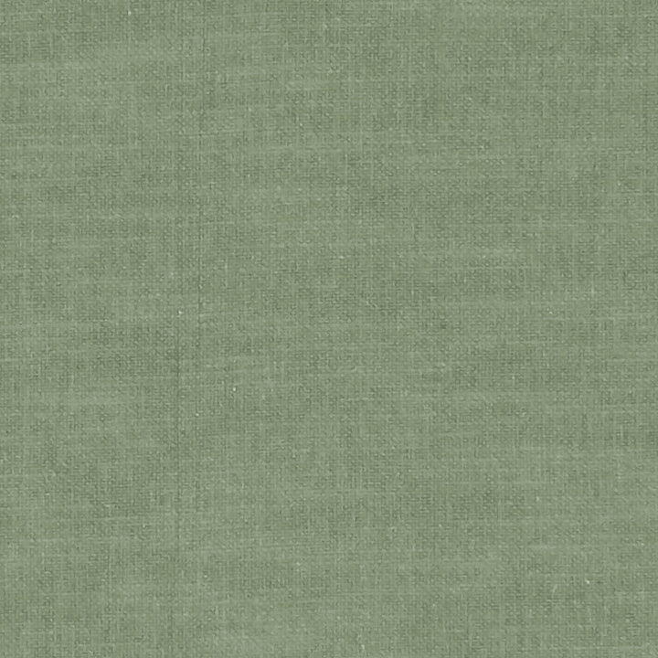 F1239 30 Amalfi Herb by Clarke and Clarke Fabric CLARKE & CLARKE COTTON - 77%;POLYESTER - 23% India HEAVY Horizontal: 0 and Vertical: 0 54  - Fabric Carolina -