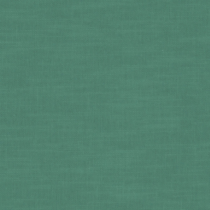 F1239 32 Amalfi Jade by Clarke and Clarke Fabric CLARKE & CLARKE COTTON - 77%;POLYESTER - 23% India HEAVY Horizontal: 0 and Vertical: 0 54  - Fabric Carolina -