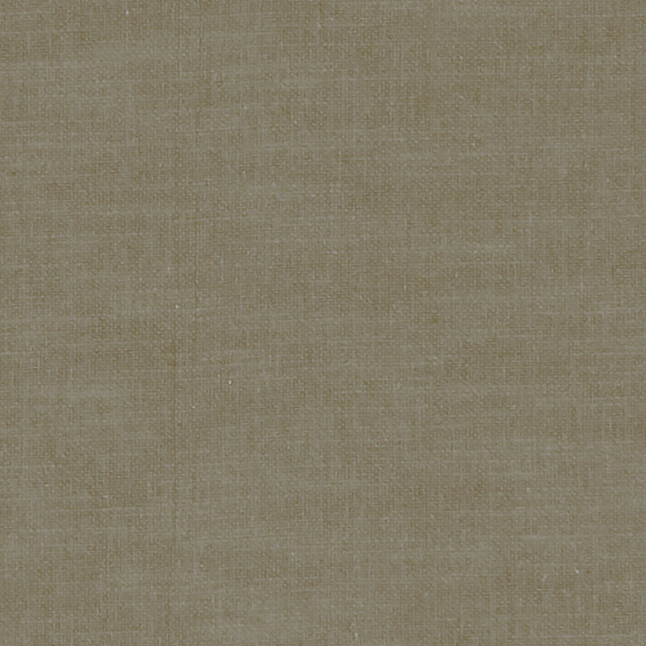 F1239 39 Amalfi Mink by Clarke and Clarke Fabric CLARKE & CLARKE COTTON - 77%;POLYESTER - 23% India HEAVY Horizontal: 0 and Vertical: 0 54  - Fabric Carolina -