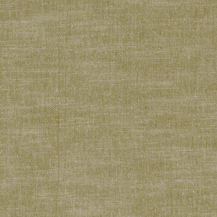 F1239 41 Amalfi Moss by Clarke and Clarke Fabric CLARKE & CLARKE COTTON - 77%;POLYESTER - 23% India HEAVY Horizontal: 0 and Vertical: 0 54  - Fabric Carolina -