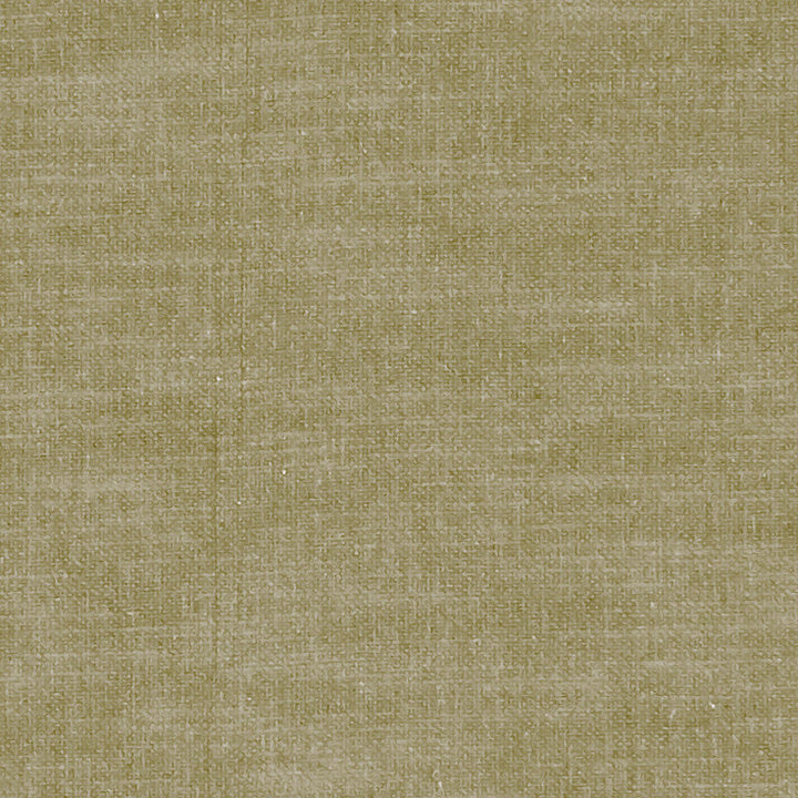F1239 41 Amalfi Moss by Clarke and Clarke Designer Fabric CLARKE & CLARKE COTTON - 77%;POLYESTER - 23% India HEAVY Horizontal: 0 and Vertical: 0 54 - Swanky Fabrics -