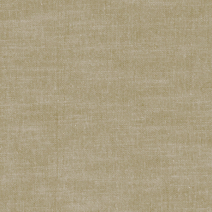 F1239 44 Amalfi Oatmeal by Clarke and Clarke Fabric CLARKE & CLARKE COTTON - 77%;POLYESTER - 23% India HEAVY Horizontal: 0 and Vertical: 0 54  - Fabric Carolina -