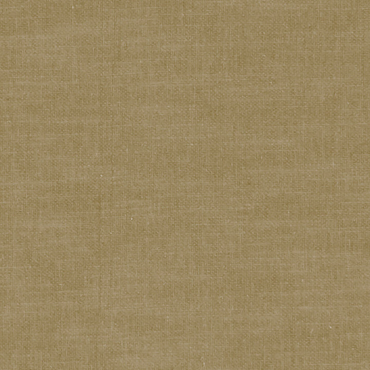 F1239 45 Amalfi Olive by Clarke and Clarke Fabric CLARKE & CLARKE COTTON - 77%;POLYESTER - 23% India HEAVY Horizontal: 0 and Vertical: 0 54  - Fabric Carolina -