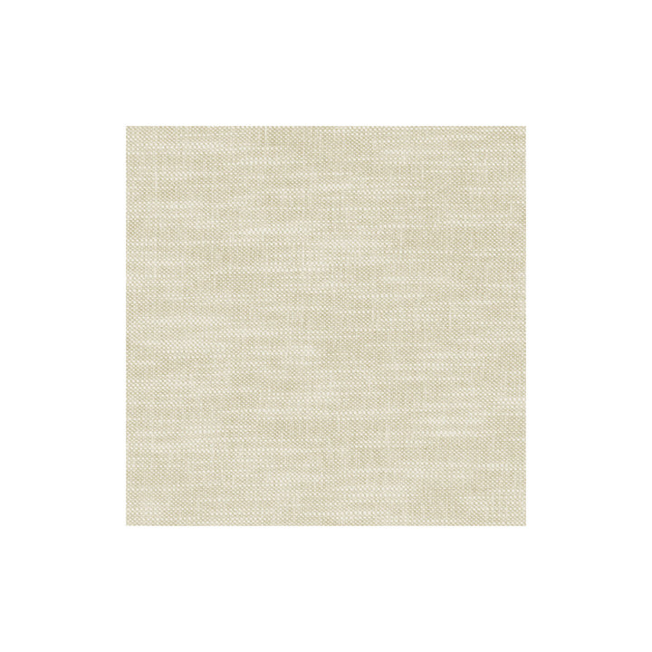 Amalfi Parchment by Clarke And Clarke Fabric CLARKE & CLARKE AMALFI COTTON - 77%;POLYESTER - 23% India HEAVY Horizontal: 0 and Vertical: 0 54 - Fabric Carolina -